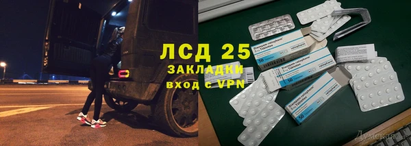 ECSTASY Алзамай