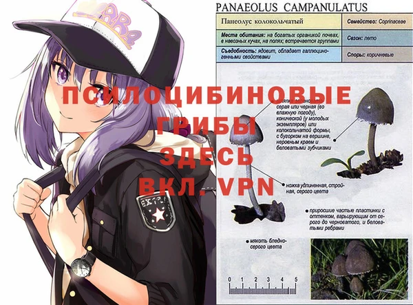 MDMA Алексин