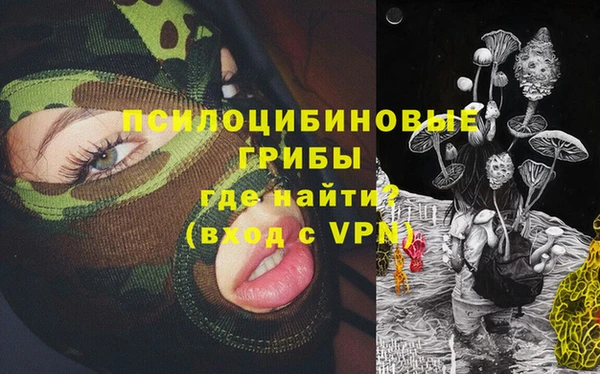 ECSTASY Алзамай