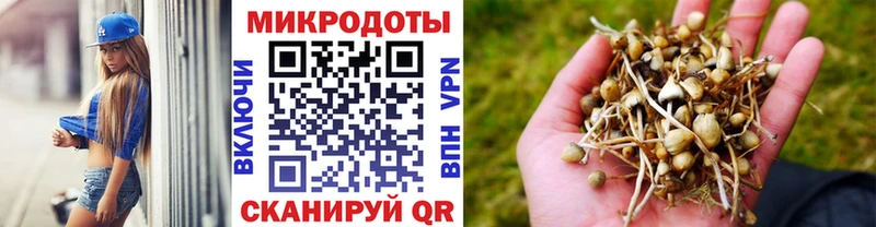 blacksprut вход  Любим  Галлюциногенные грибы Magic Shrooms  дарк нет клад  сколько стоит 