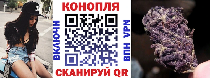Каннабис сатива Любим